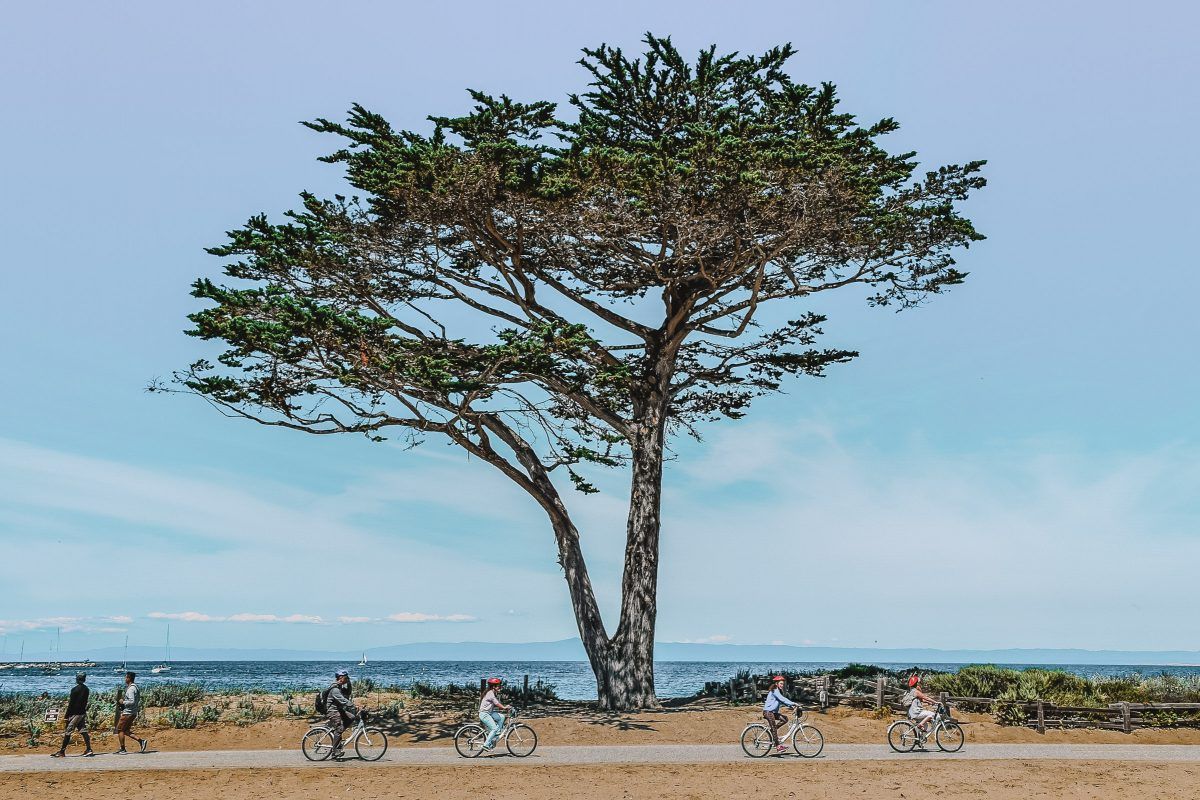 Bike the Monterey Bay Coastal Trail