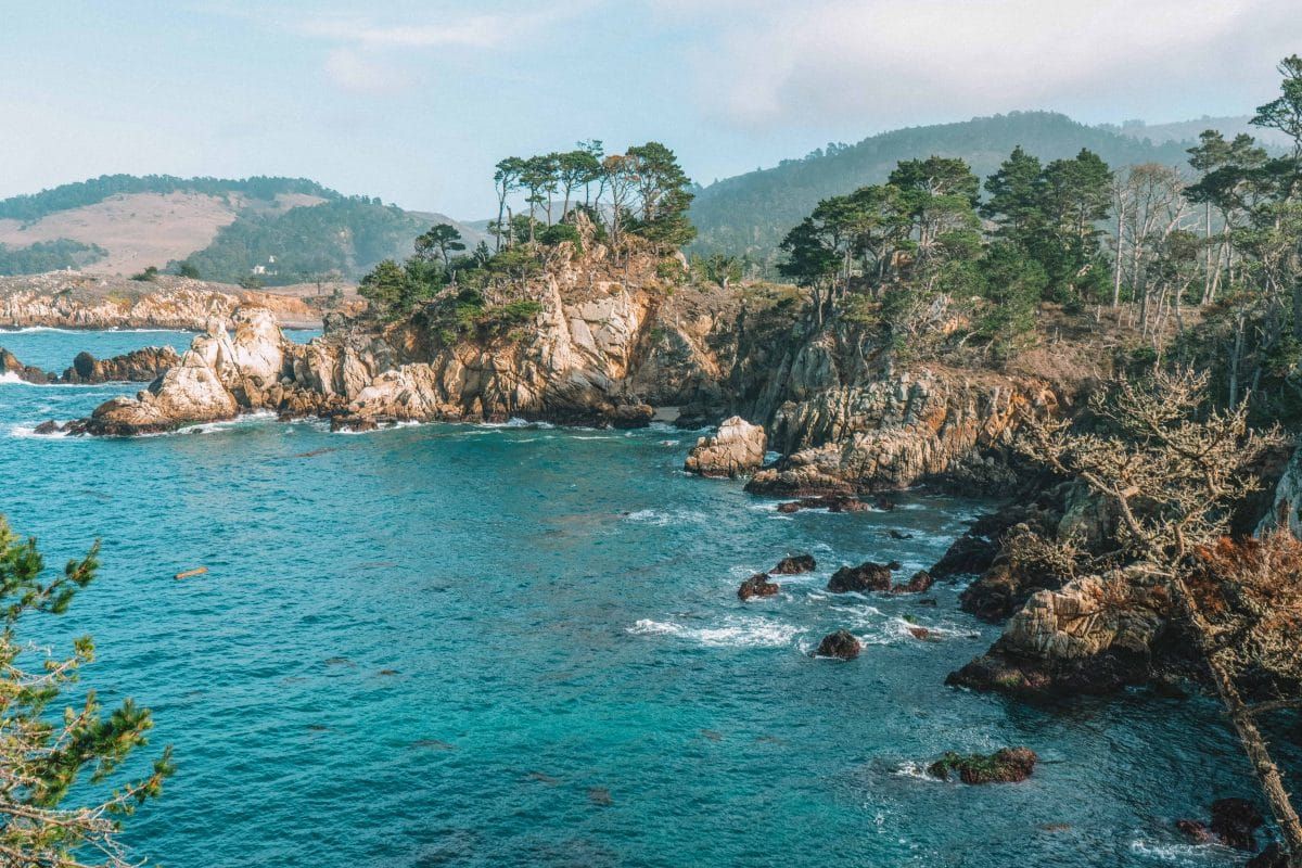 Point Lobos natural reserve