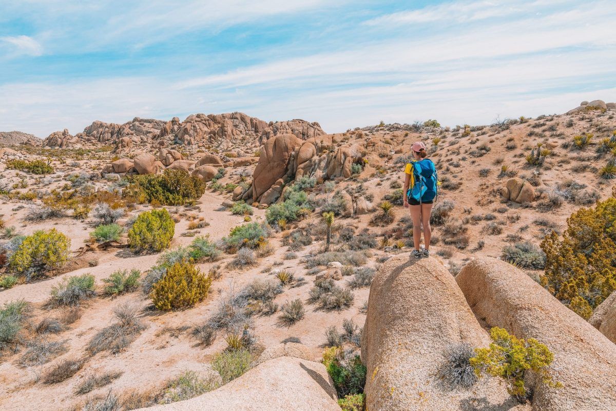 17 Best Hikes in Joshua Tree National Park