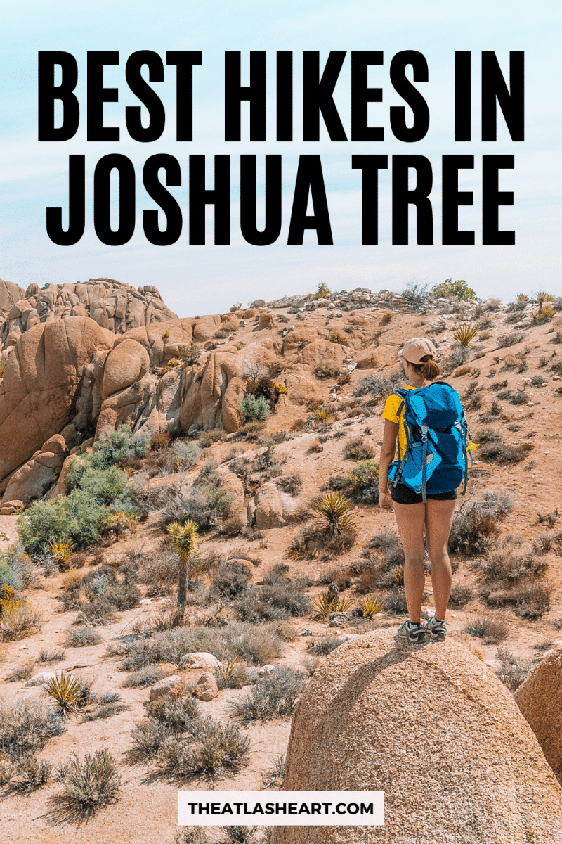 Best Hikes in Joshua Tree Pin 1