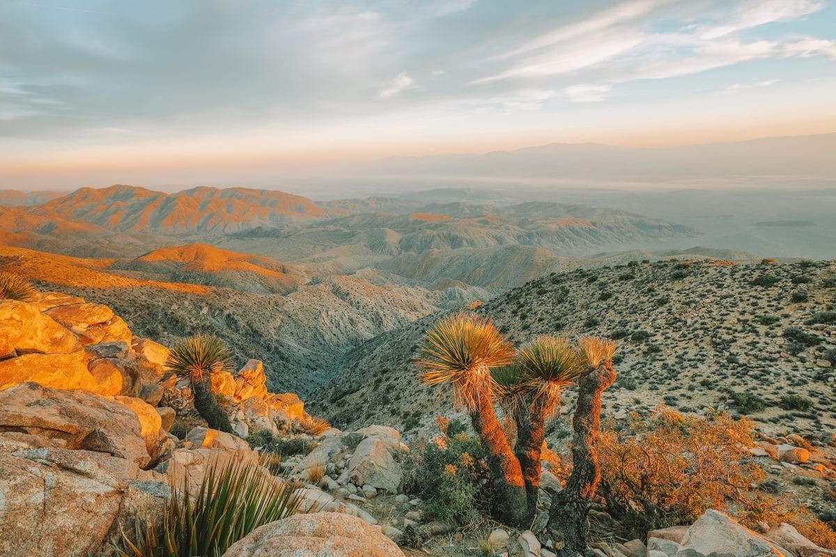 Tips for Hiking in Joshua Tree National Park