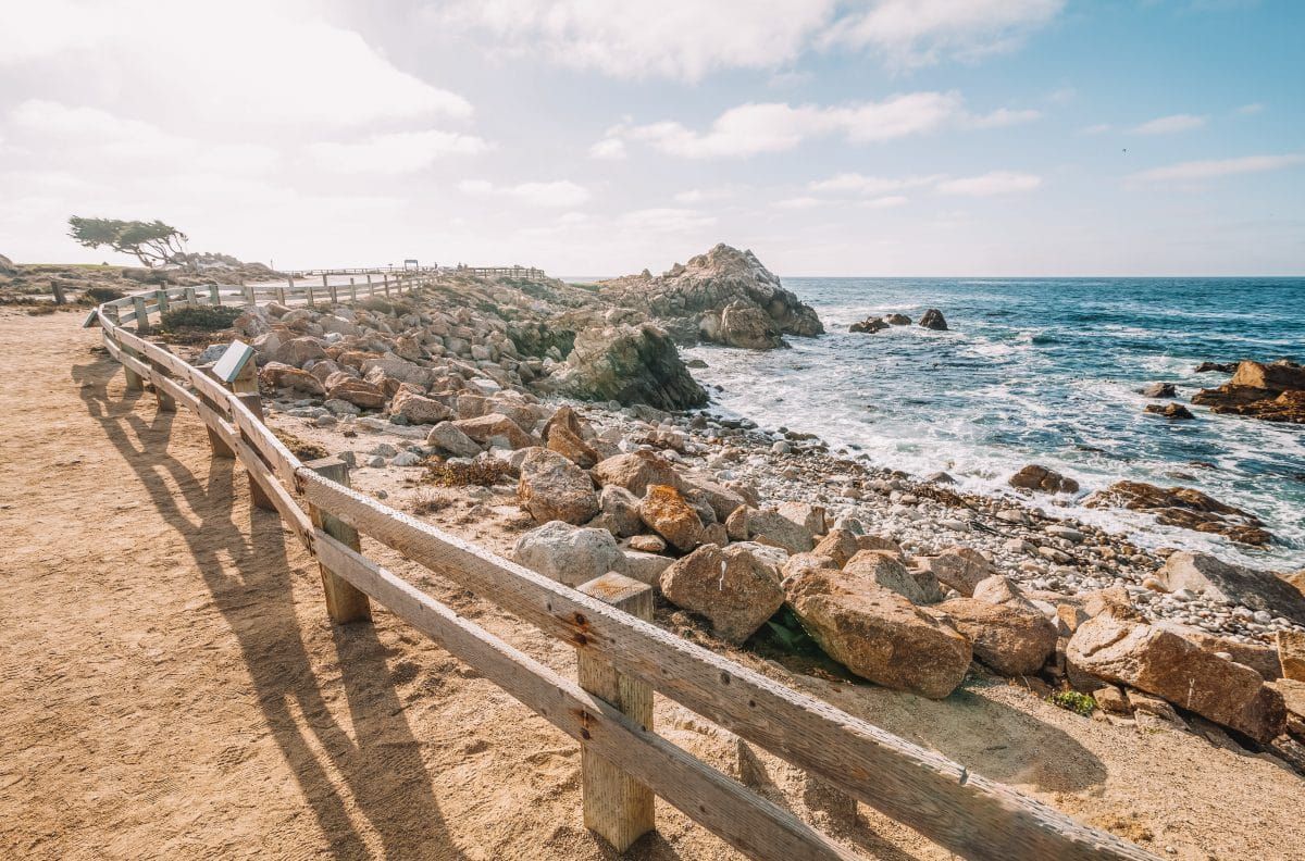 What to Expect & Tips for Driving the 17-Mile Drive