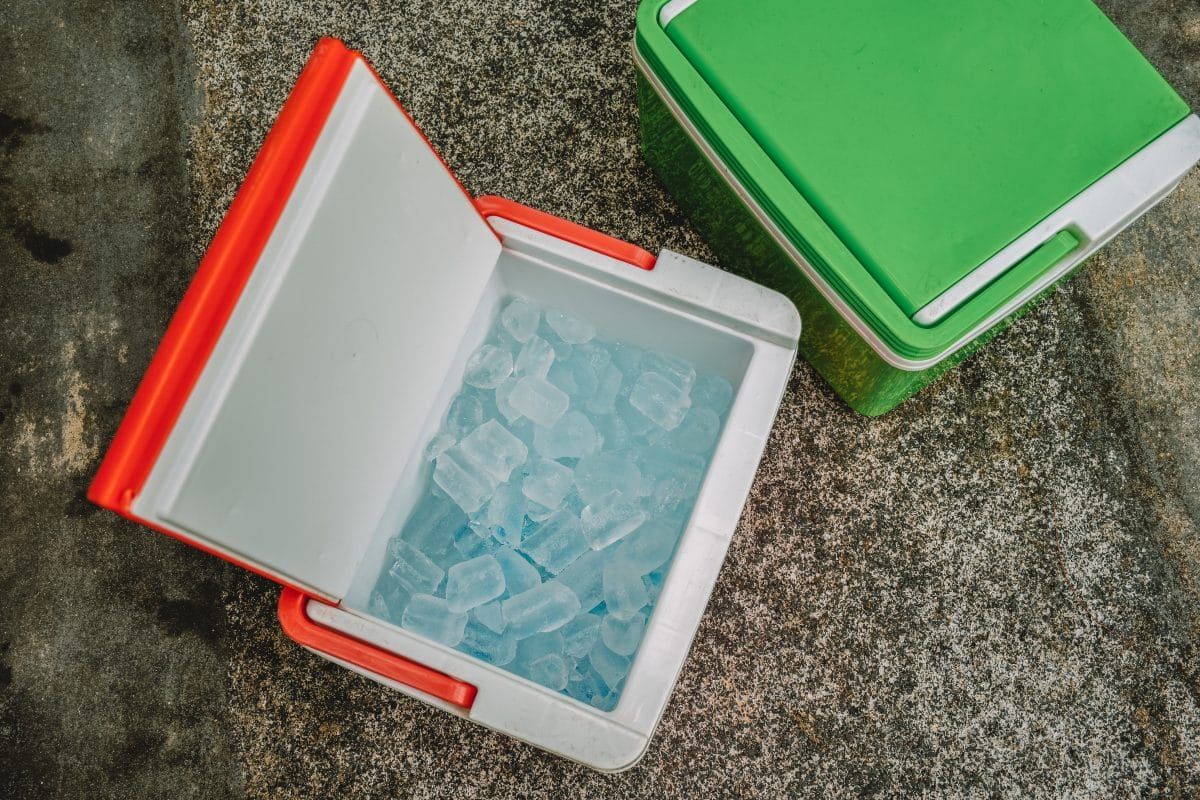 Conclusion: Our Pick for the Best Cooler for Camping