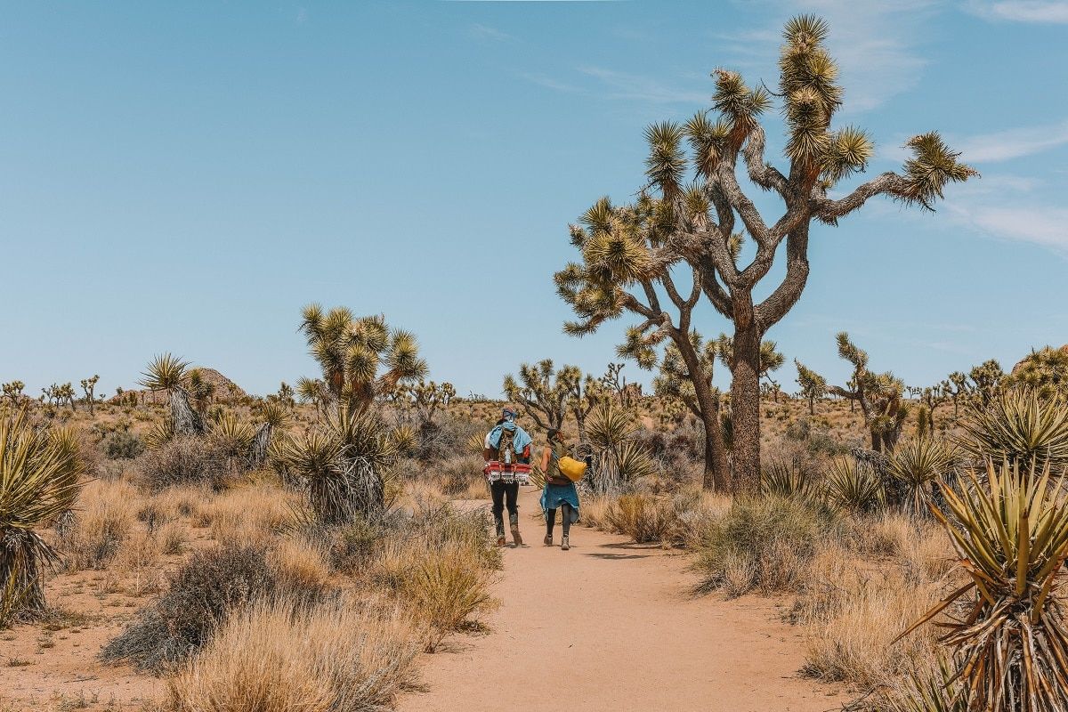Hikers at Boy Scout Trail in Joshua Tree National Park