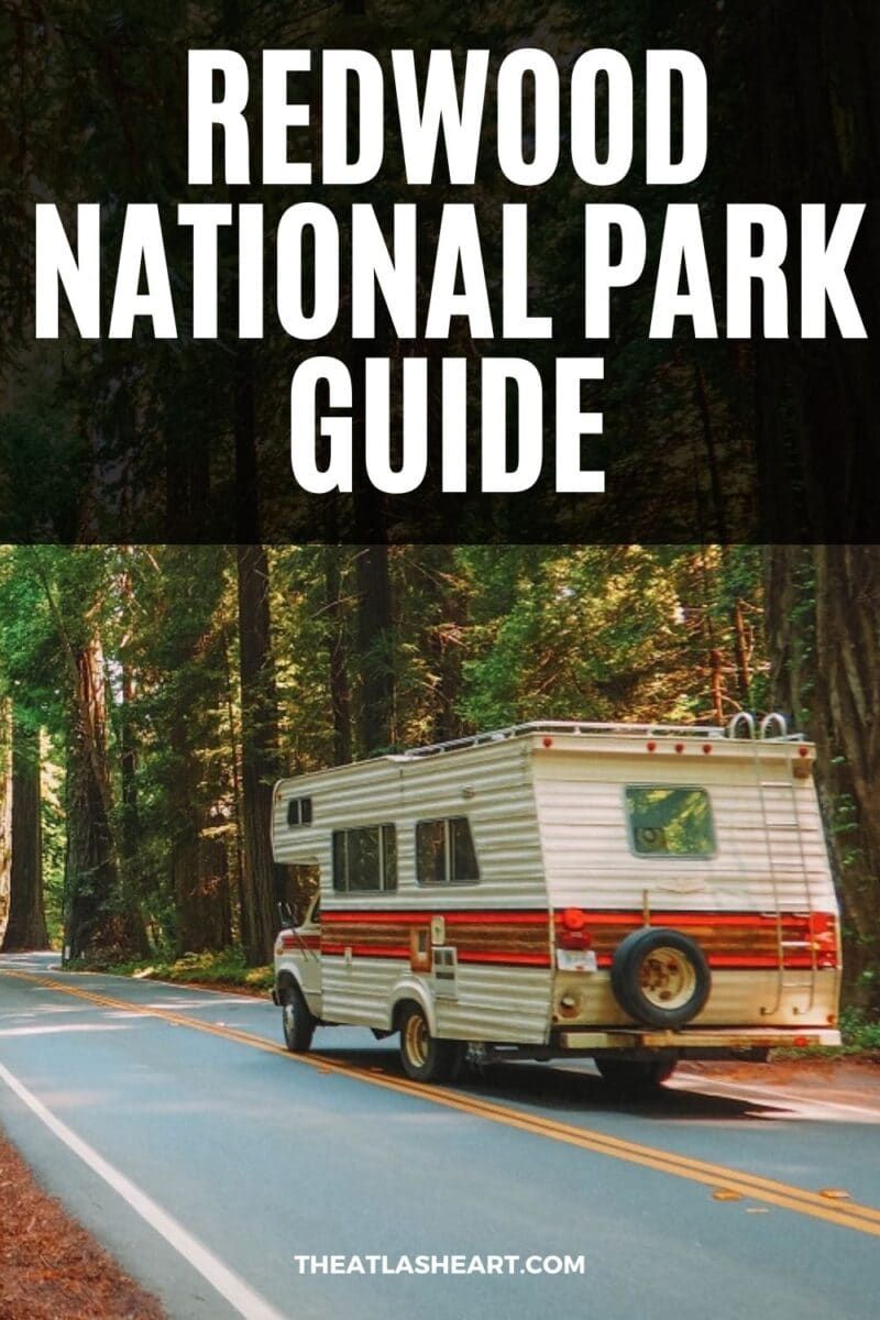 Redwood National Park Guide Pin1