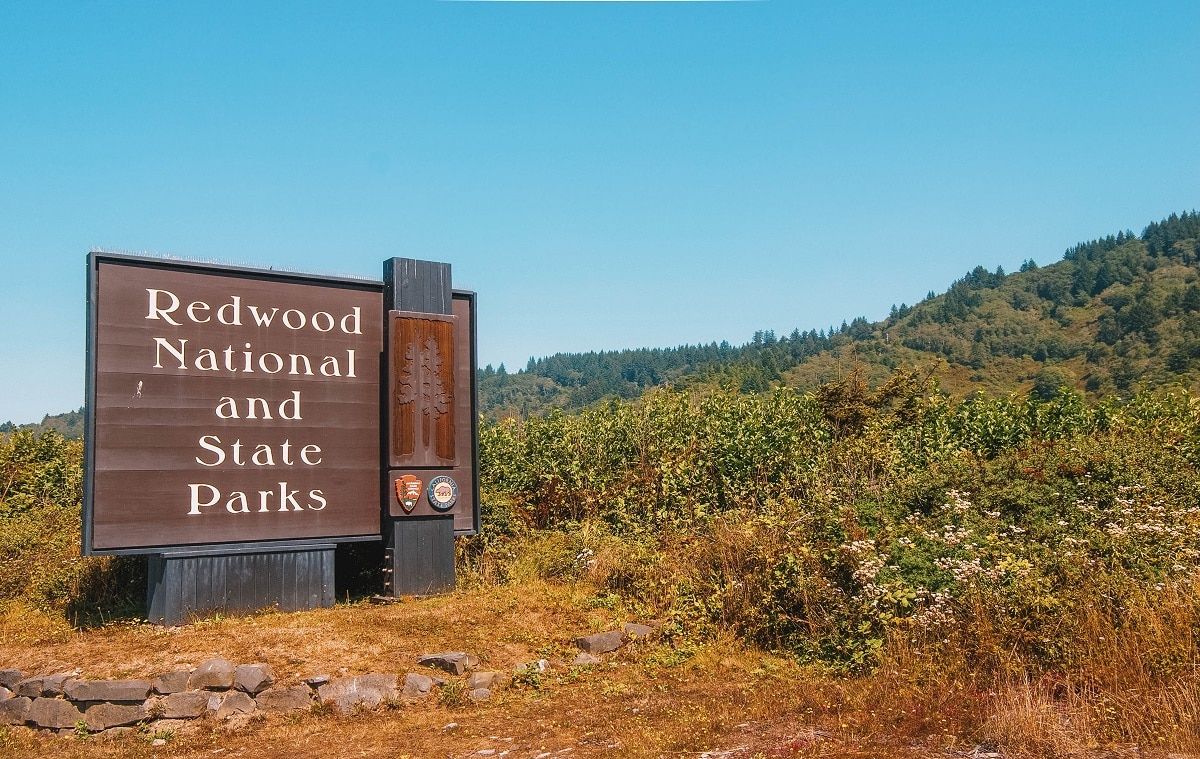Redwood National State Park sign