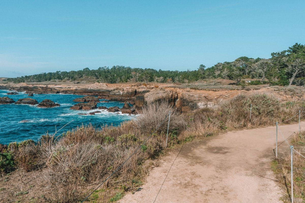 South Shore Trail, Point Lobos State Natural Reserve