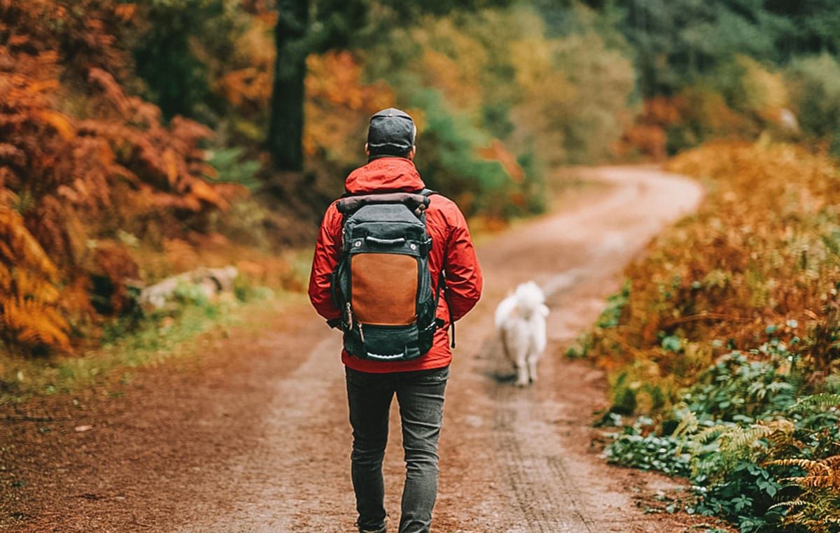 A male hiker seen from behind while walking down a trail wears a red coat and an orange backpack, with fall foliage and a white fluffy dog visible beyond him.