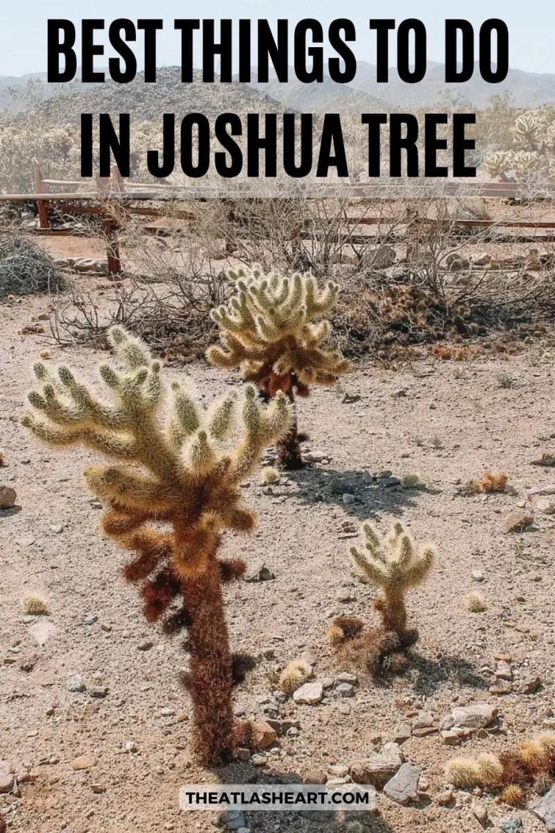 Best Things to do in Joshua Tree Pin