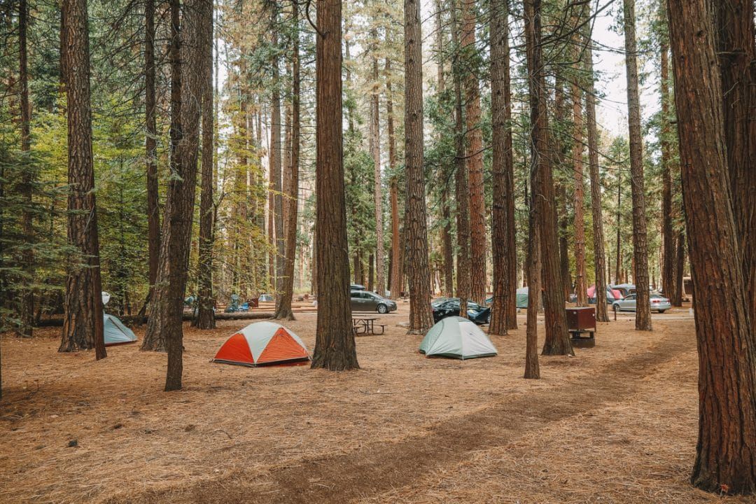 Yosemite Camping [2024 Guide To The Best Campgrounds]