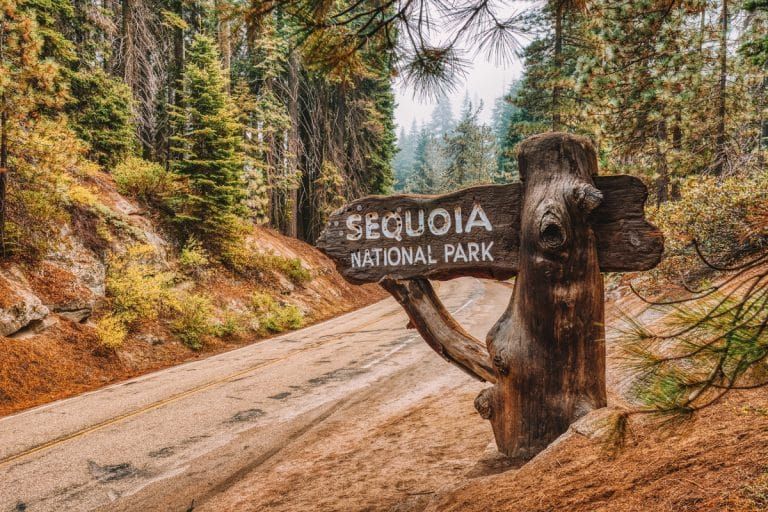 Free Camping In Sequoia National Park 768x512 