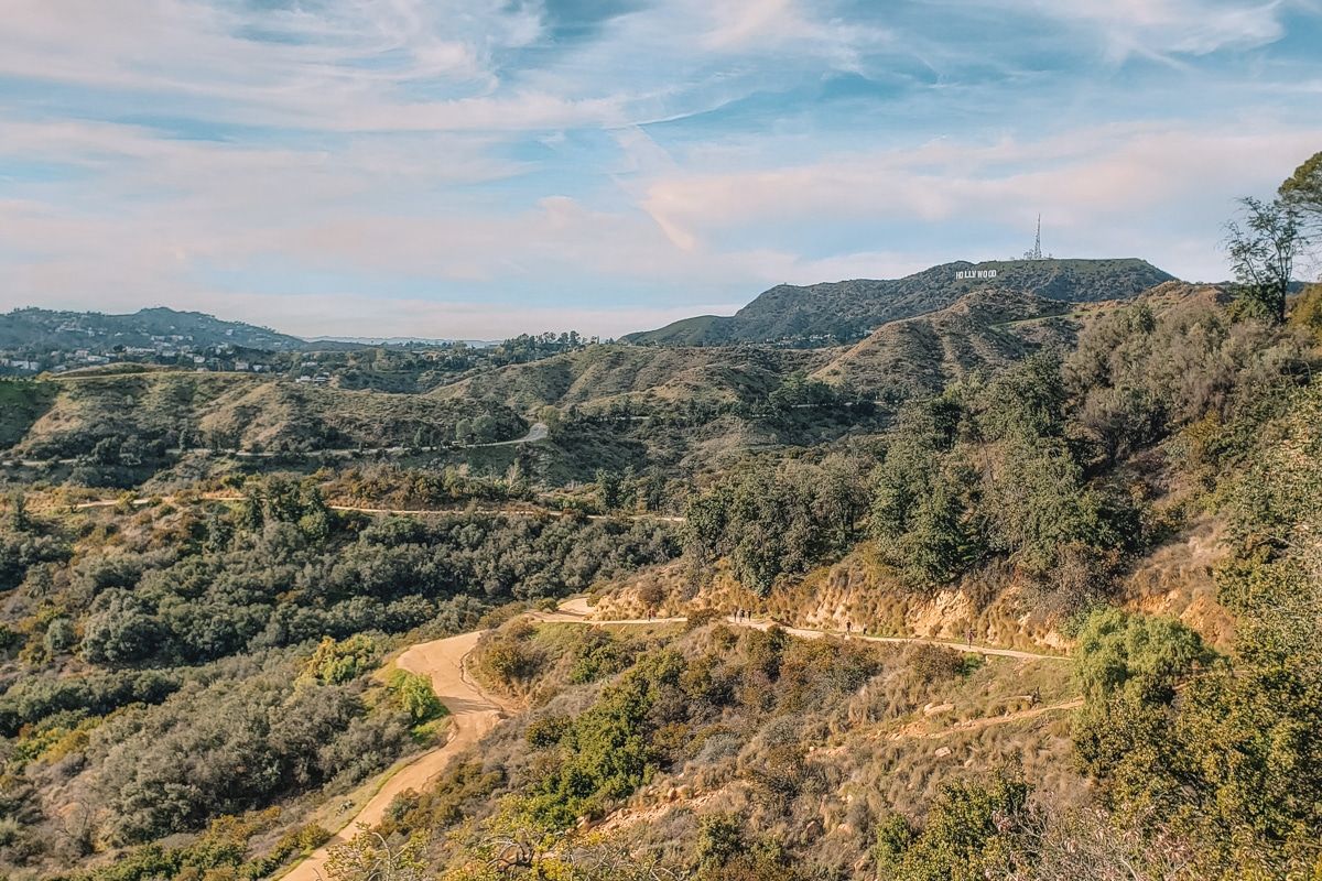 A sweeping view of a California canyon filled with oaks and bushes in Griffith Park.
