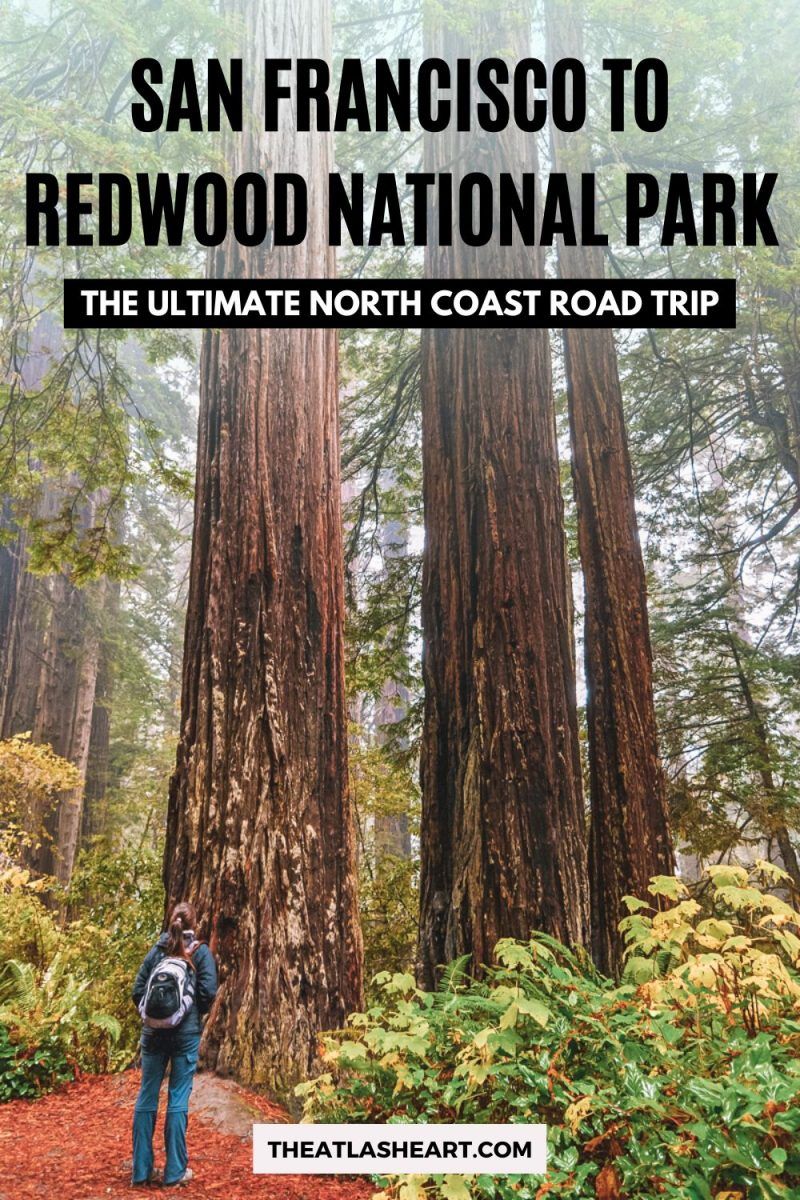 San Francisco to Redwood National Park Pin