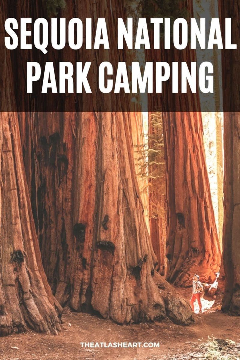 Sequoia National Park Camping Pin