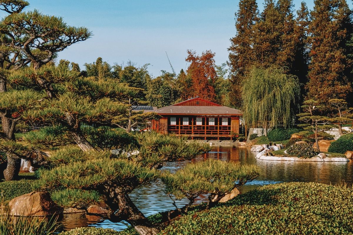 A traditional Japanese building seen on a sunny day from across a pond at the Japanese Garden.