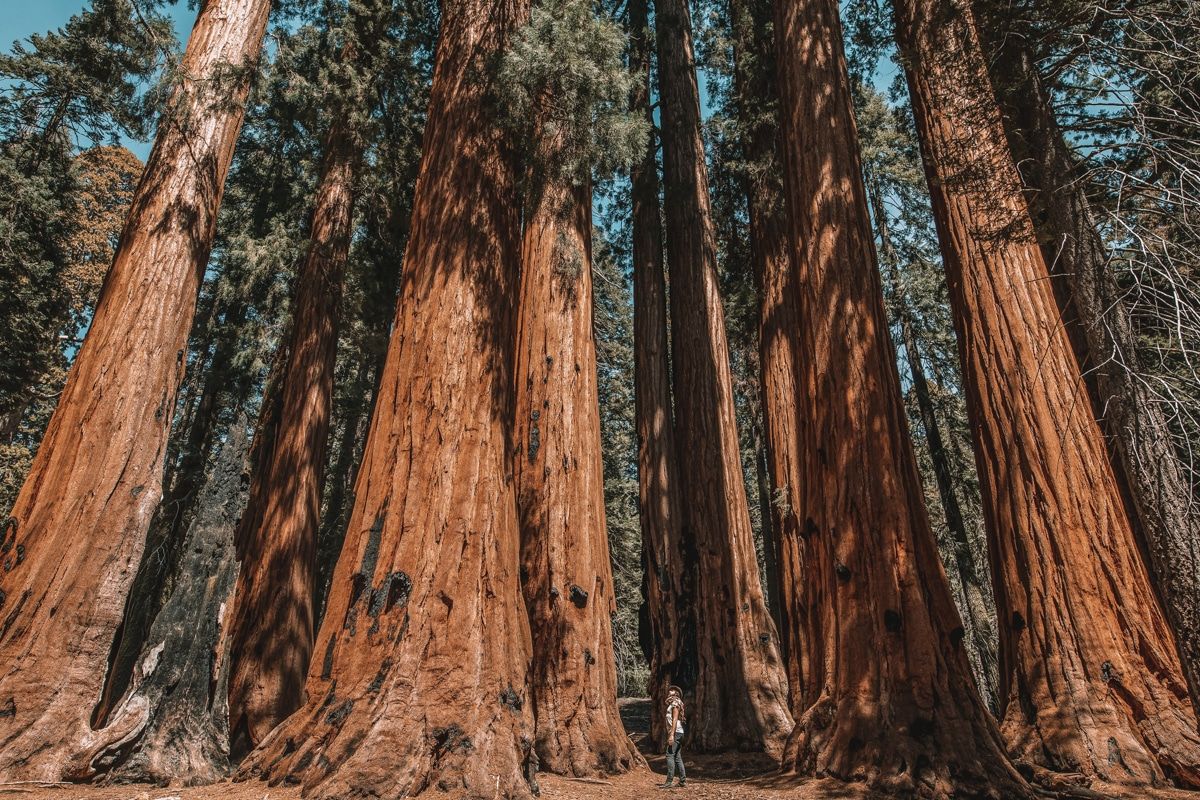 best hikes in sequoia national park