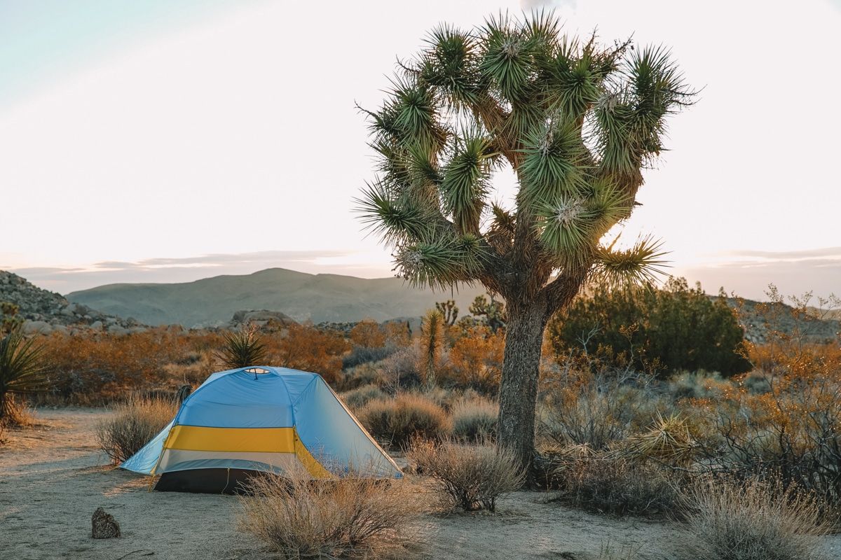 Places to Camp in Joshua Tree