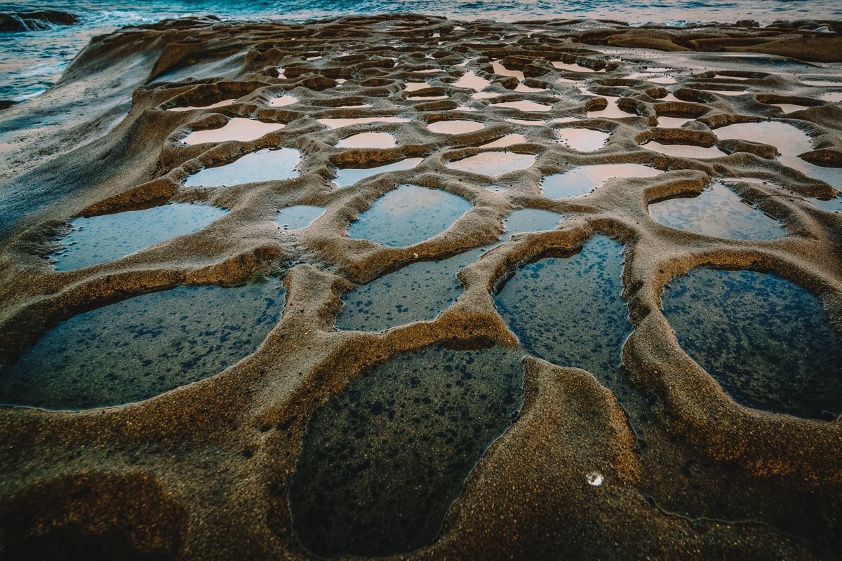 A close-up of round tide pools in San Diego.