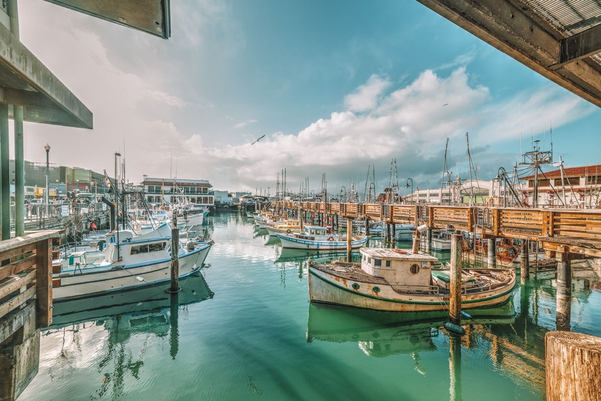 best things to do in fishermans wharf