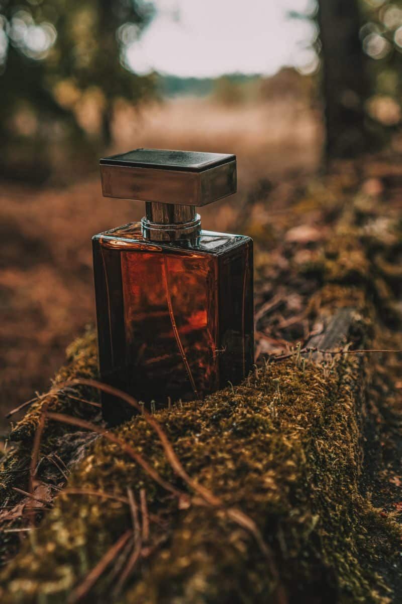 best colognes and sprays for campfire