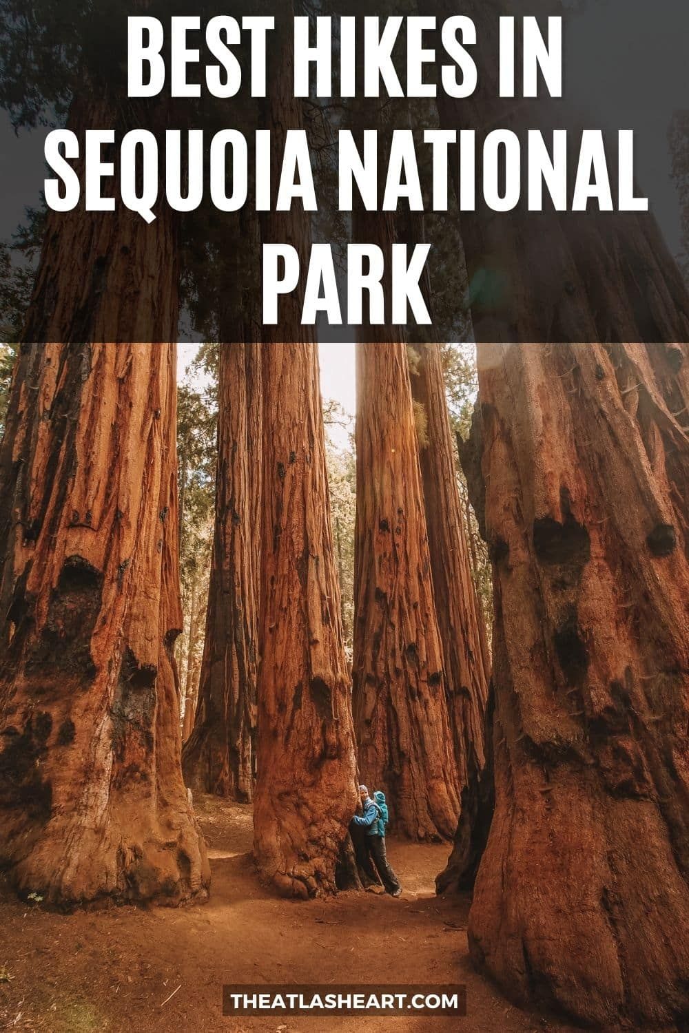 21 Best Hikes in Sequoia National Park & Kings Canyon