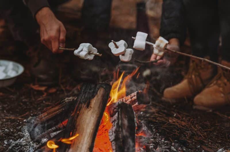 11 Best Campfire Sprays In 2023 [colognes & Room Sprays]