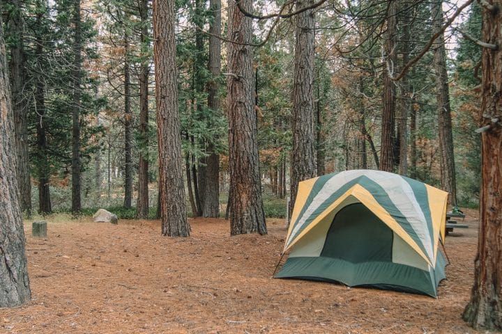 BEST Camping In Kings Canyon National Park For 2023 [Ranked]