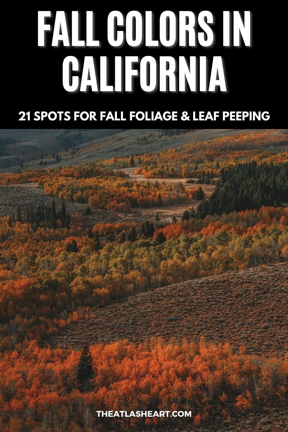 Where to See Fall Colors in California: 21 Spots for Fall Foliage & Leaf Peeping