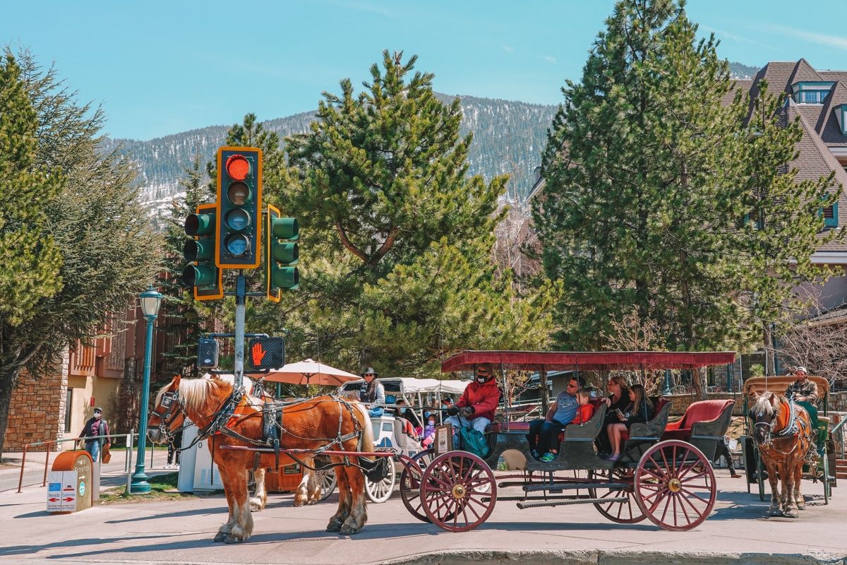 Tourists enjoy a horse-drawn sleigh ride in downtown South Lake Tahoe