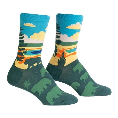 National Park Socks Gift
