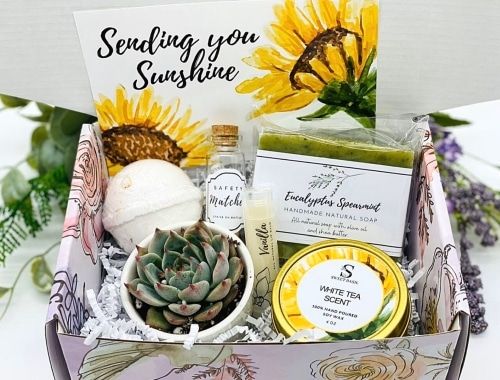 Thinking of you succulent gift box.