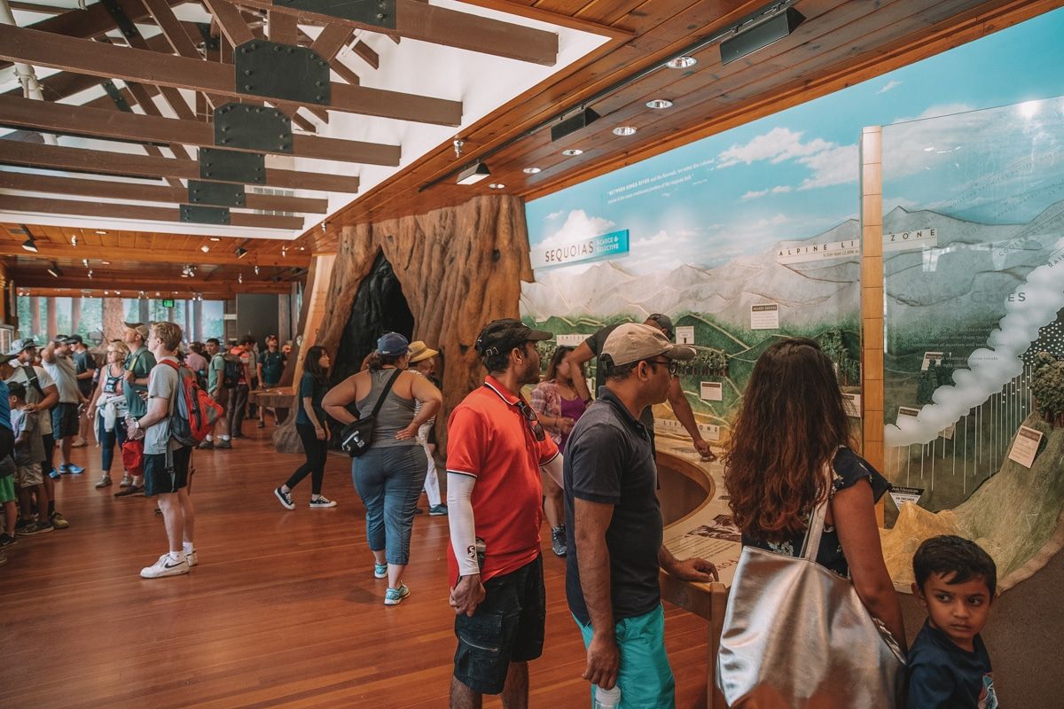 Visitors looking at a display in the Giant Forest Museum