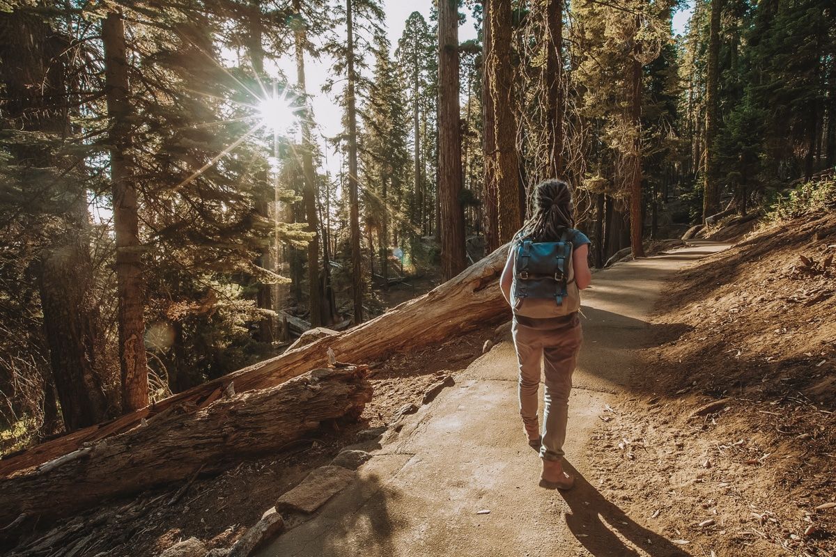 Picture of a woman in brown pants with a blue backpack, hiking in Sequoia National Park.