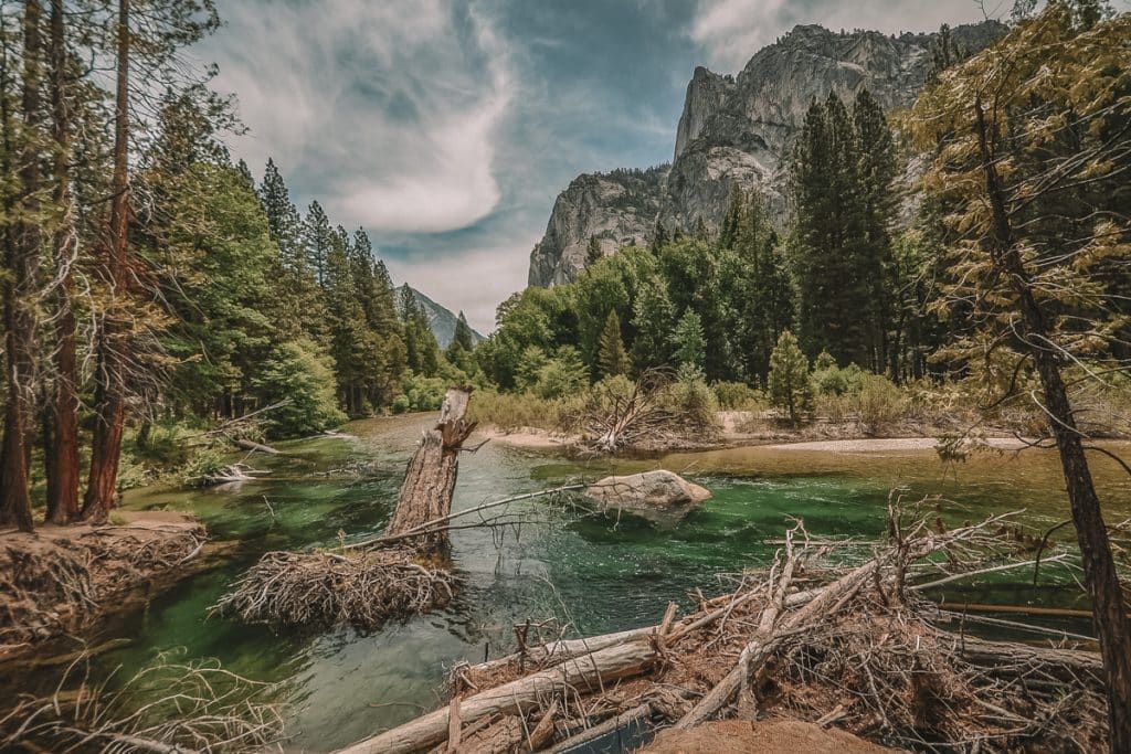 17 Best Things To Do In Kings Canyon And Sequoia National Park