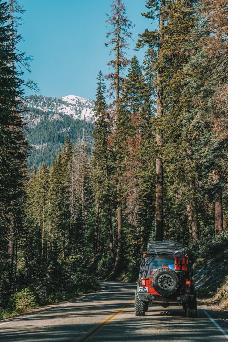 A red jeep seen from behind driving down a road lined with redwood trees, with a snow-capped mountain and a clear blue sky in the distance.