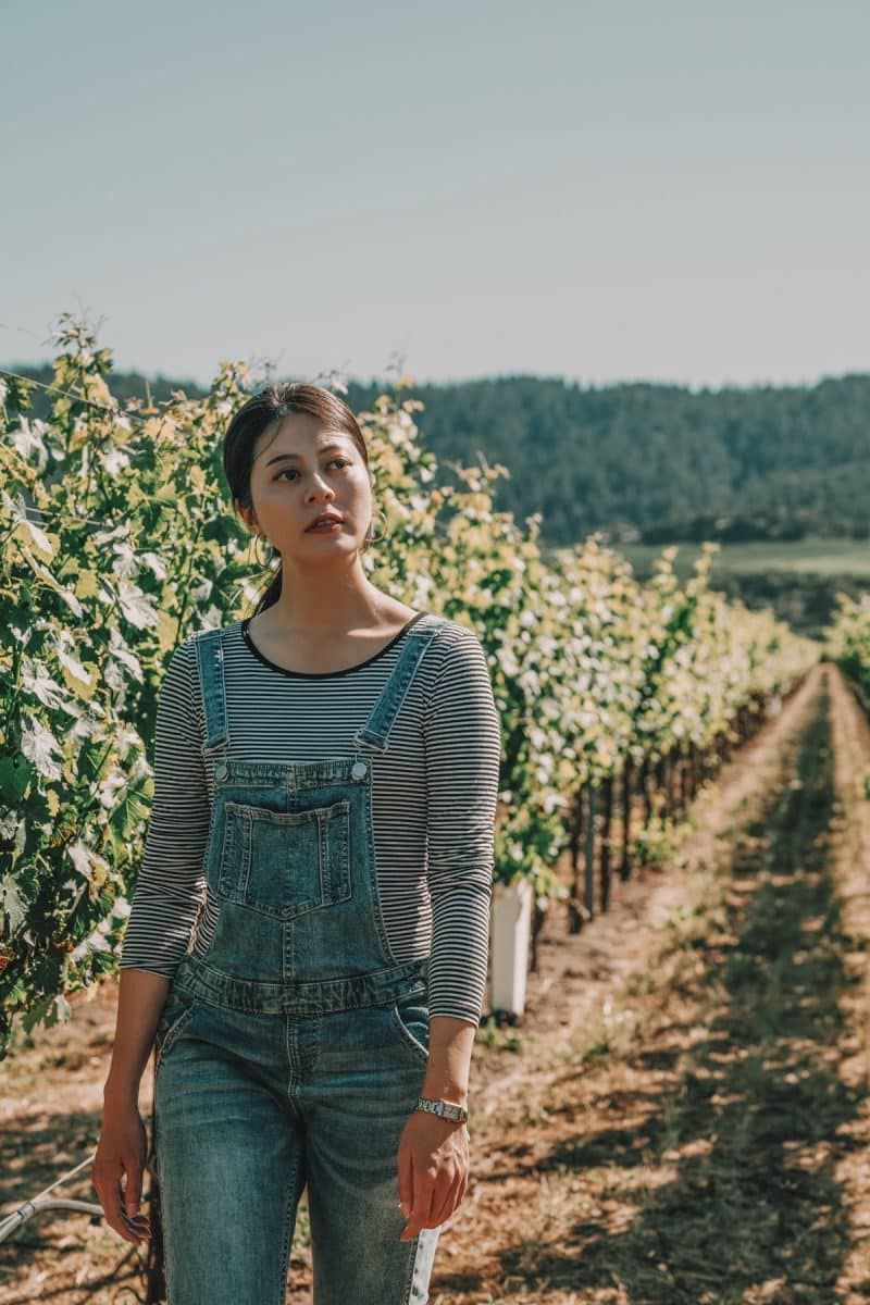 Image of a woman in overalls walking through a vineyard in Napa Valley.