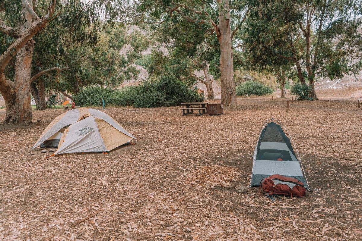 Two tents set up on Santa Cruz Island in Channel Islands National Park.