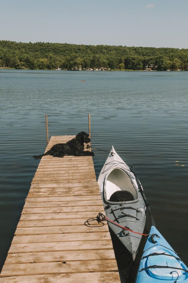 A black dog sits on a dock on a lake, with two kayaks tethered beside it.
