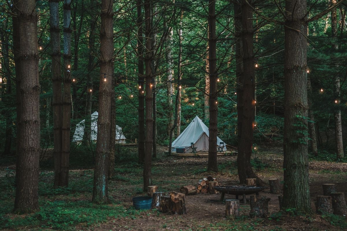 Two canvas tents in a grove of trees illuminated by string lights.