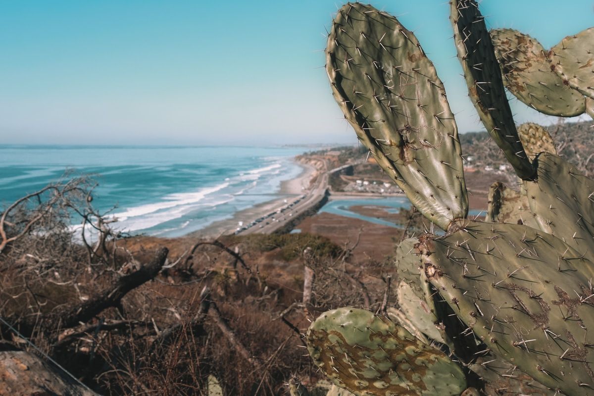 A look out point on Guy Fleming Trail, with a view of a beach and a blue sky, with cactus and vegetation in the foreground.