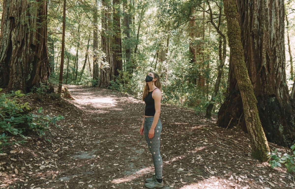 A woman wearing leggings, a black tank top, and a black face mask stands on a wooded path, gazing up at redwood trees.