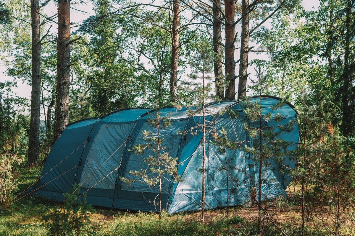 A large, blue tunnel tent with a screen room pitched in a wooded campsite amongst trees and bushes.