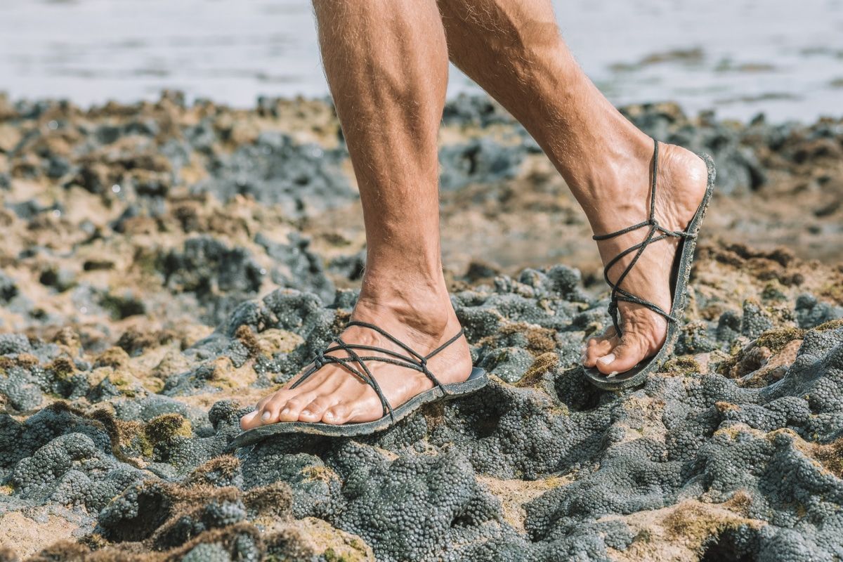 A pair of muscular legs and feet wearing black zero-drop sandals walking over rough volcanic rock covered in seaweed.