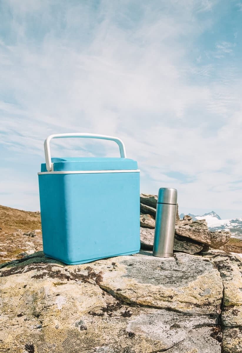 A blue cooler, perhaps containing one of the best ice packs for coolers, sitting on a rock next to a stainless steel thermos with snowy mountain peaks in the distance.
