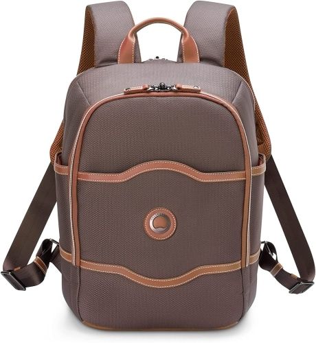 Product photo for the Delsey Paris Backpack in brown.