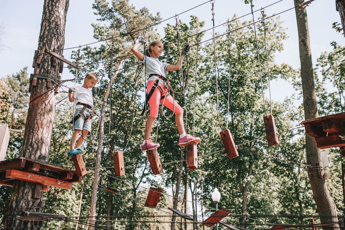 A young girl in pink pants and a white shirt followed by a boy in blue shorts and a white shirt explore a ropes course with trees and a clear sky in the background.