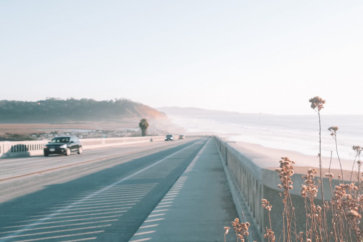 A Southern California highway on a hazy day running alongside a beach with dry native blossoms in the foreground.