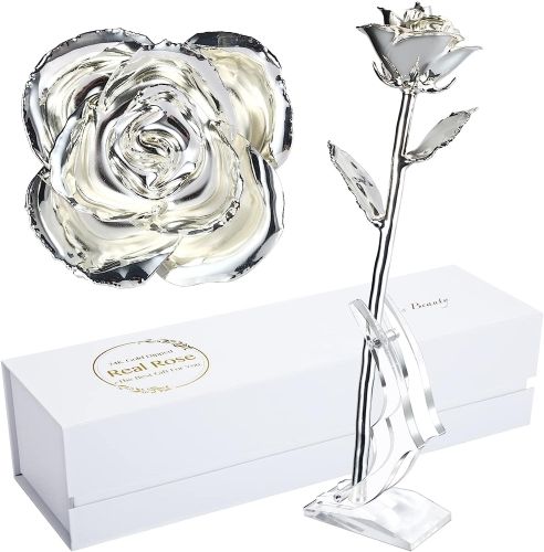 Product image for the Silver Dipped Rose.