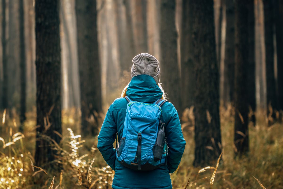 A woman seen from behind wearing a blue windbreaker a backpack, gazing out into a forest.