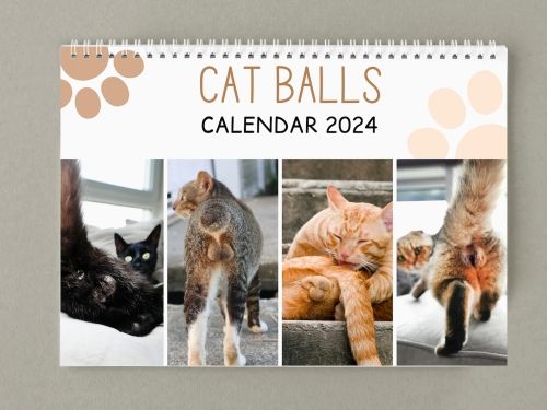 Cat Buttholes Calendar